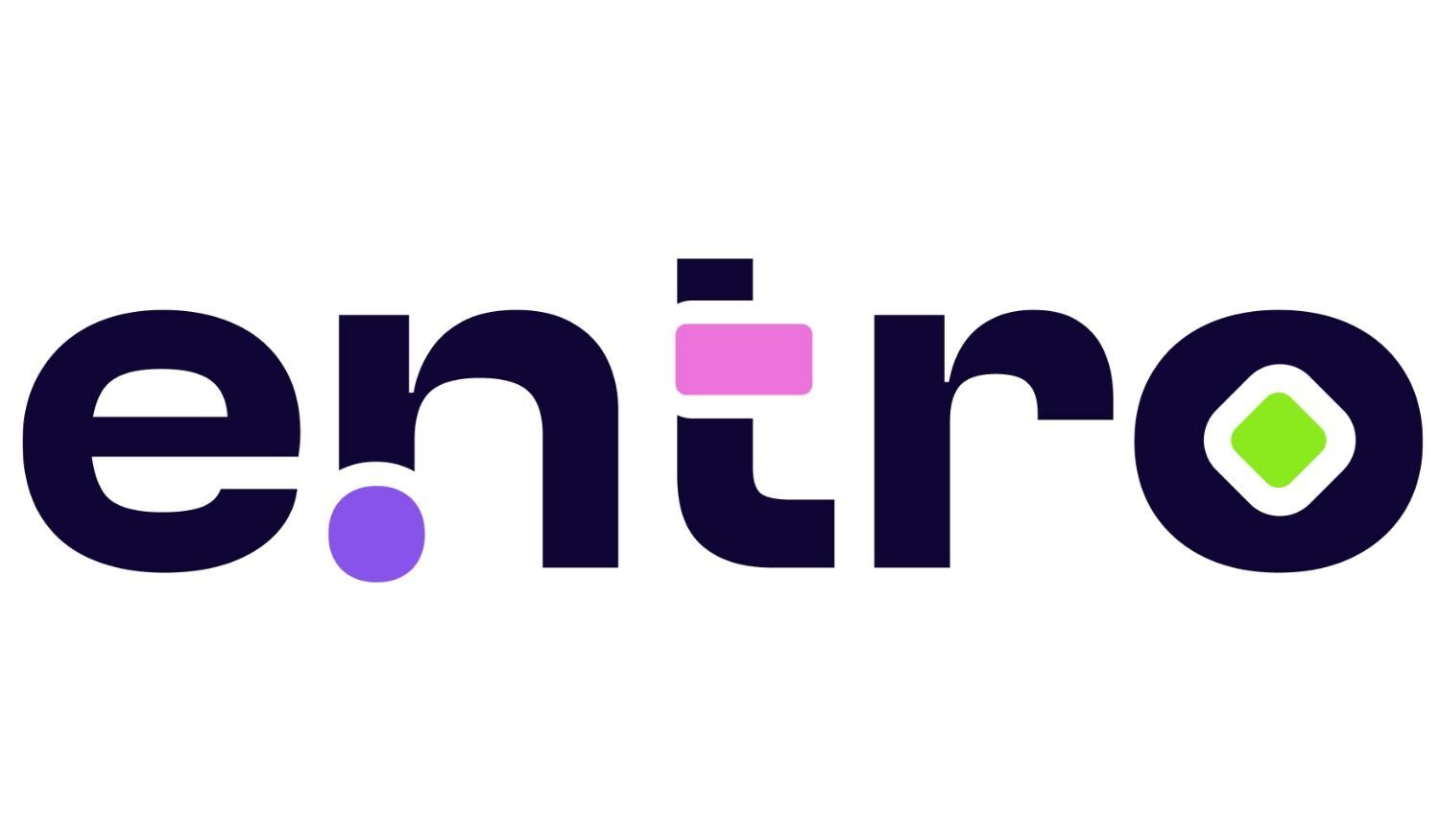 entro cyber security
